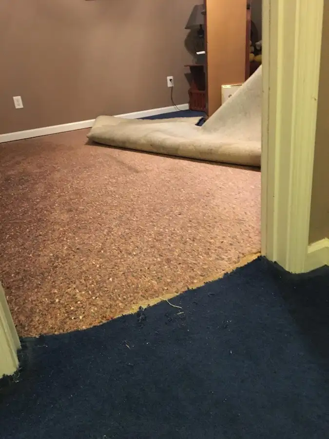 Carpet pad removal revealing water damage during Drying & Dehumidification in Royal Oak