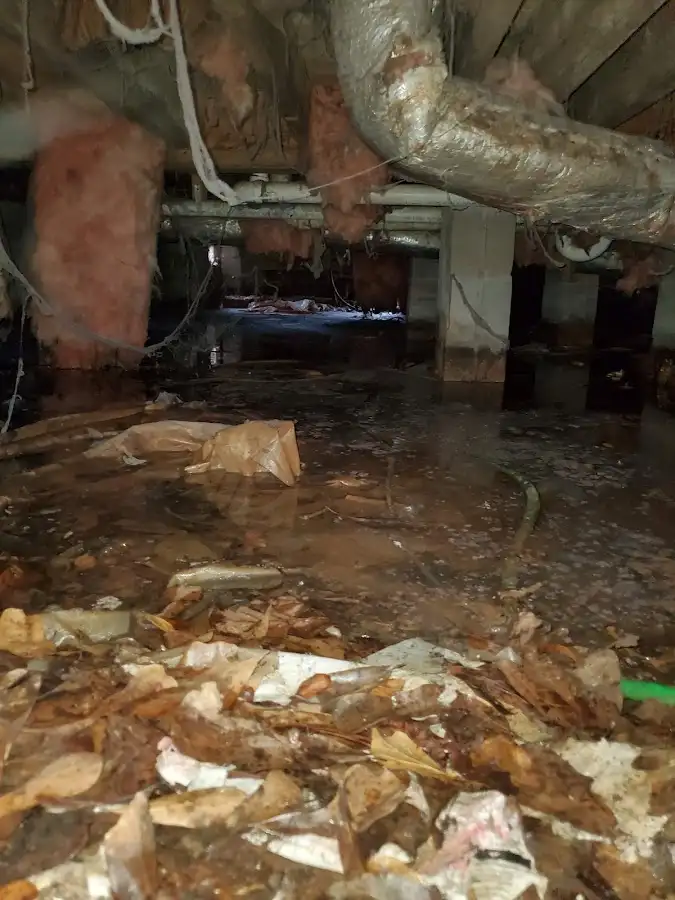 Crawl space flood assessment for Leak Detection & Repair in Royal Oak