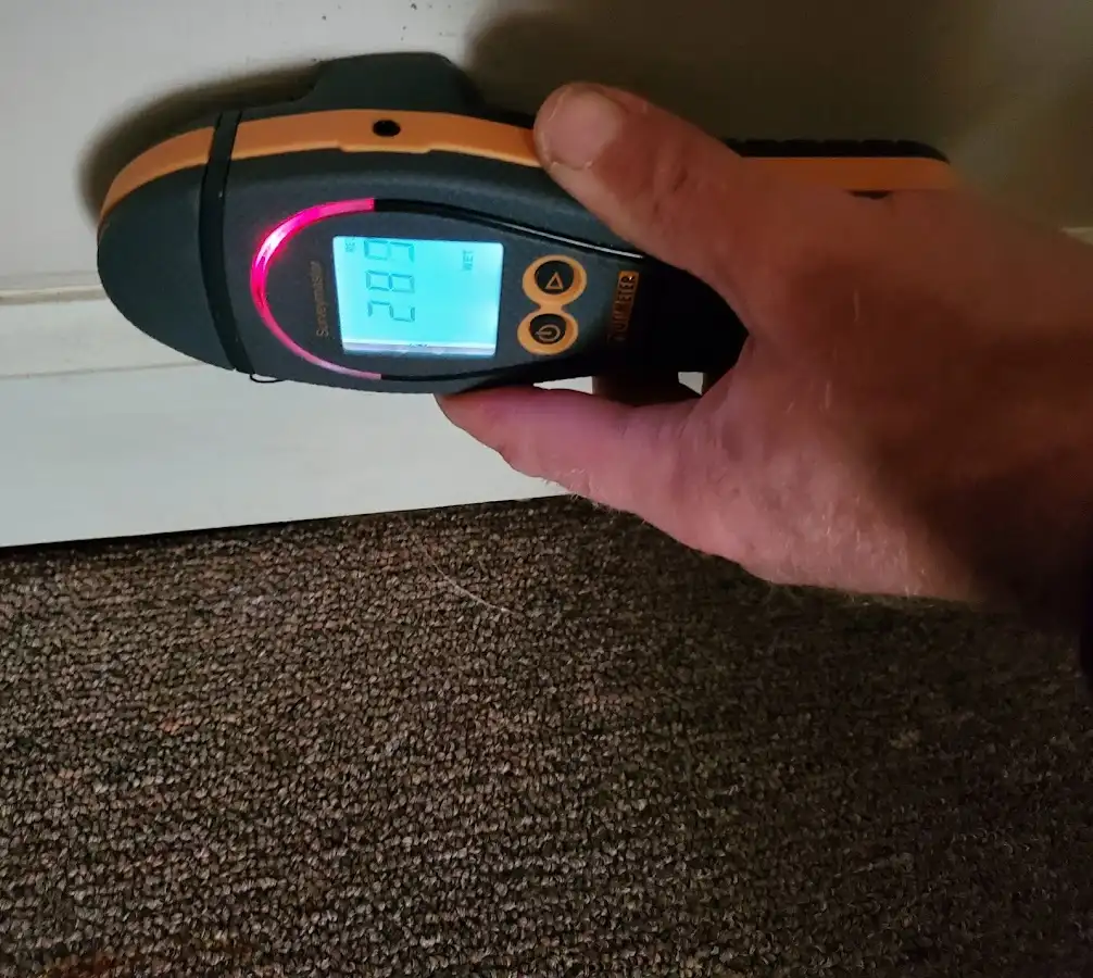 Moisture detection at baseboard during Storm Damage Restoration in Royal Oak